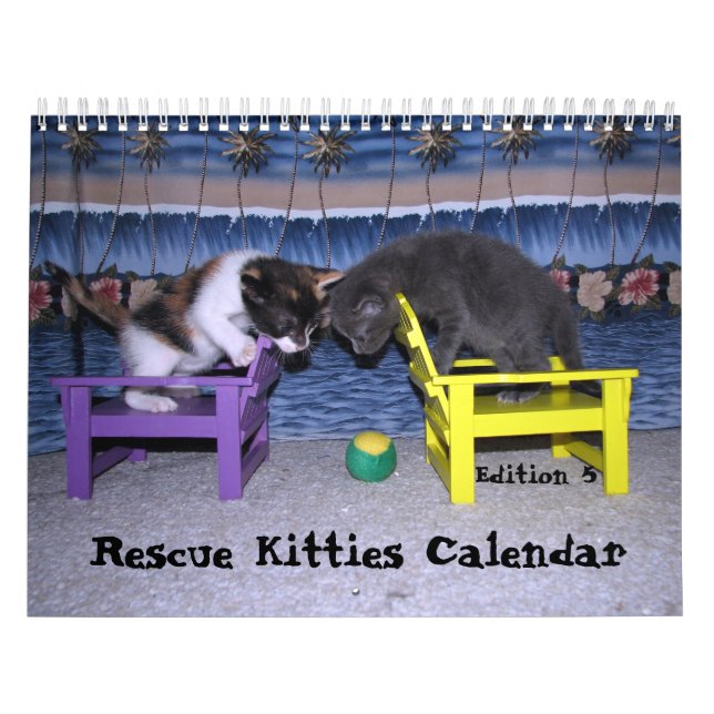Rescue Cat Calendar - Edition 5 (Cover)