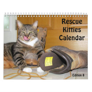 Rescue Cat Calendar - Edition 8