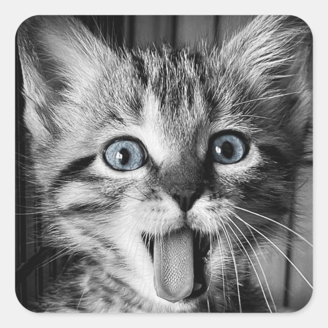 Rescue Cute Kitten Classic Round Sticker (Front)