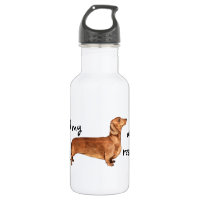 Rescue Dachshund