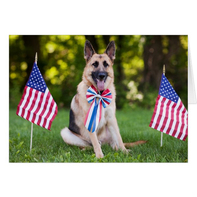 Rescue Dog "Hawk" (Front Horizontal)