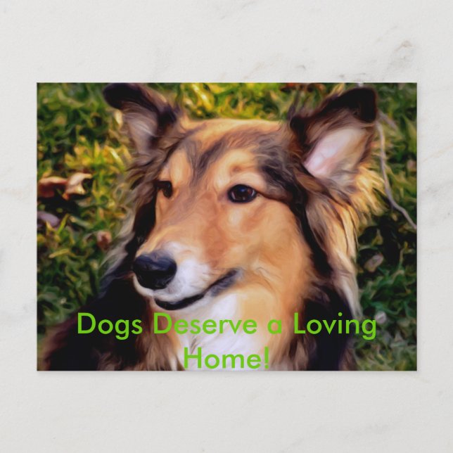 Rescue Dog Postcard (Front)