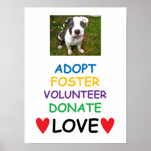 Rescue Dog Poster, Adopt Love Poster