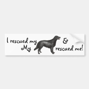 Rescue Flat-Coated Retriever Bumper Sticker