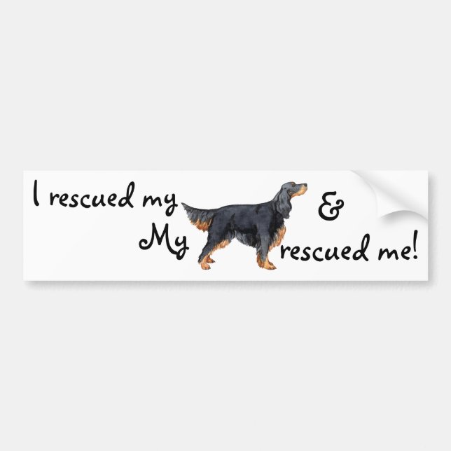 Rescue Gordon Setter Bumper Sticker (Front)