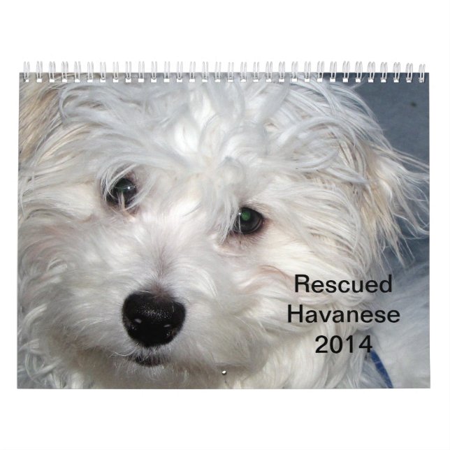 Rescue Havanese Pups 2014 Calendar (Cover)
