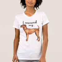 Rescue Irish Terrier