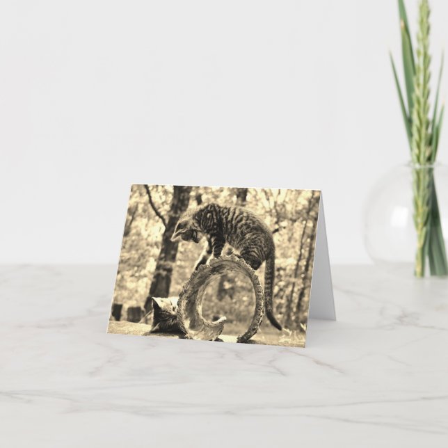 Rescue Kittens Playing on a Log Notecard Greeting (Front)