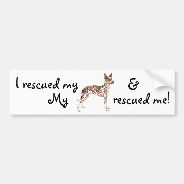 Rescue Peruvian Inca Orchid Bumper Sticker (Front)