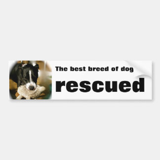 Rescue Pet Bumper Sticker