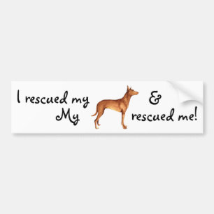 Rescue Pharaoh Hound Bumper Sticker