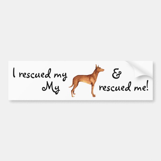 Rescue Pharaoh Hound Bumper Sticker (Front)