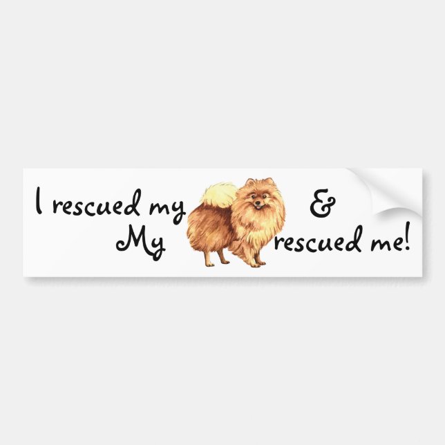 Rescue Pomeranian Bumper Sticker (Front)