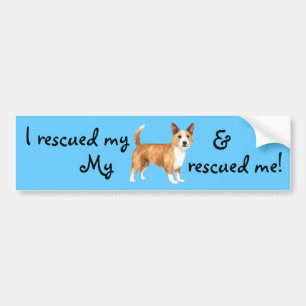Rescue Portuguese Podengo Pequeno Bumper Sticker