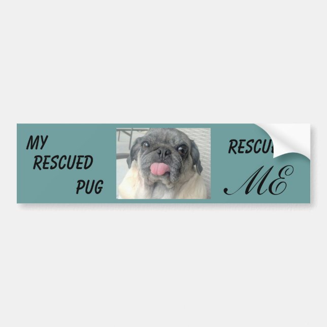 Rescue pug bumper sticker (Front)
