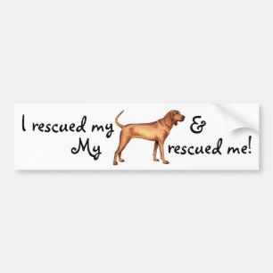 Rescue Redbone Coonhound Bumper Sticker