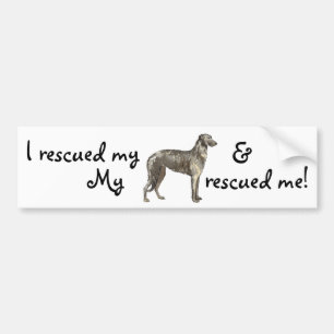 Rescue Scottish Deerhound Bumper Sticker