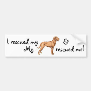Rescue Wirehaired Vizsla Bumper Sticker