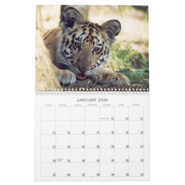 Rescued Animals Calendar (Jan 2026)