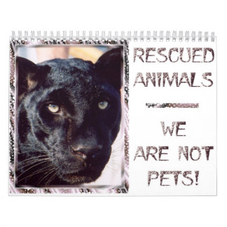 Rescued Animals - We are Not Pets Calendar