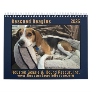 Rescued Beagles 2026 Wall Calendar