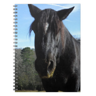 Rescued Black Draught   Horse Spiral Notebook