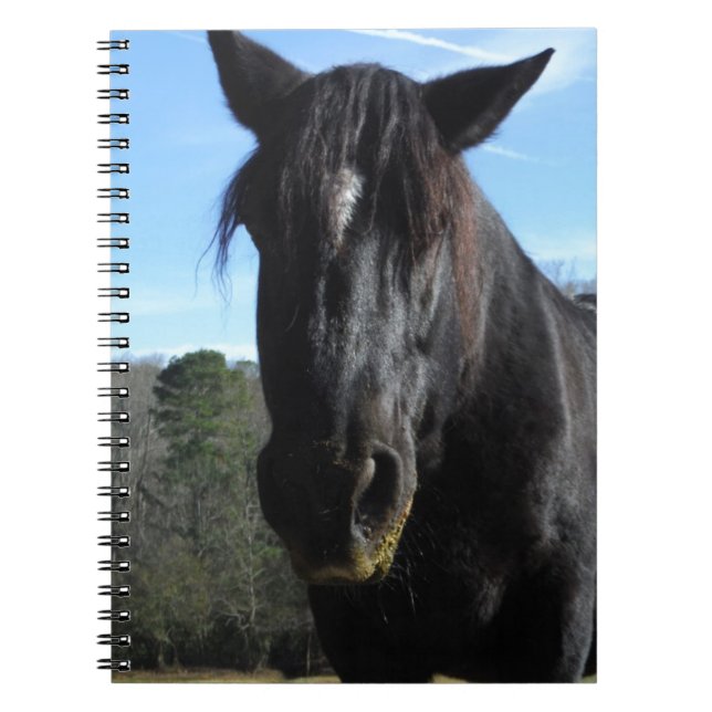 Rescued Black Draught   Horse Spiral Notebook (Front)