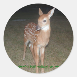 rescued deer fawn stickers