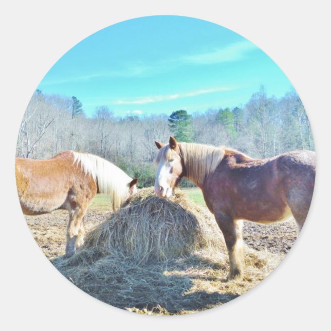 Rescued Draught   Horses eating hay Classic Round Sticker (Front)