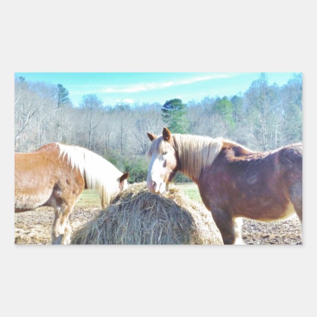 Rescued Draught Horses eating hay Rectangular Sticker (Front)