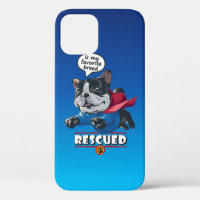 Rescued is my favourite breed |