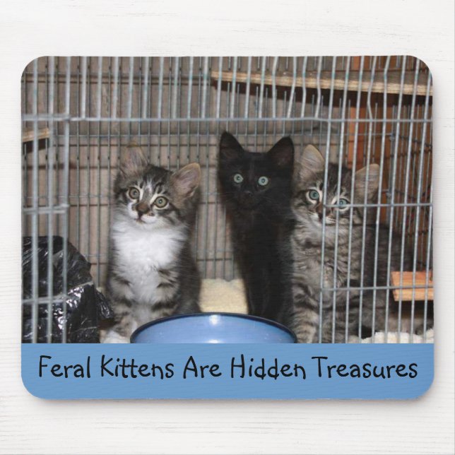 Rescued Kitten Treasures Mousepad (Front)