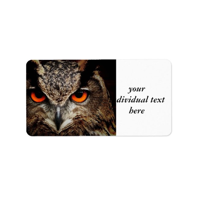 researchers looking owl label (Front)