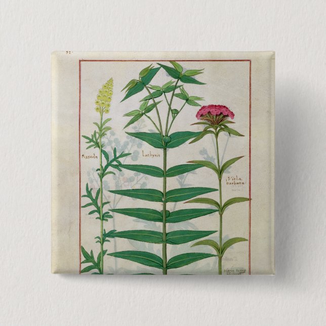 Reseda, Euphorbia and Dianthus 15 Cm Square Badge (Front)