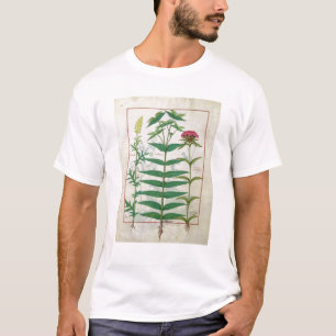 Reseda, Euphorbia and Dianthus T-Shirt