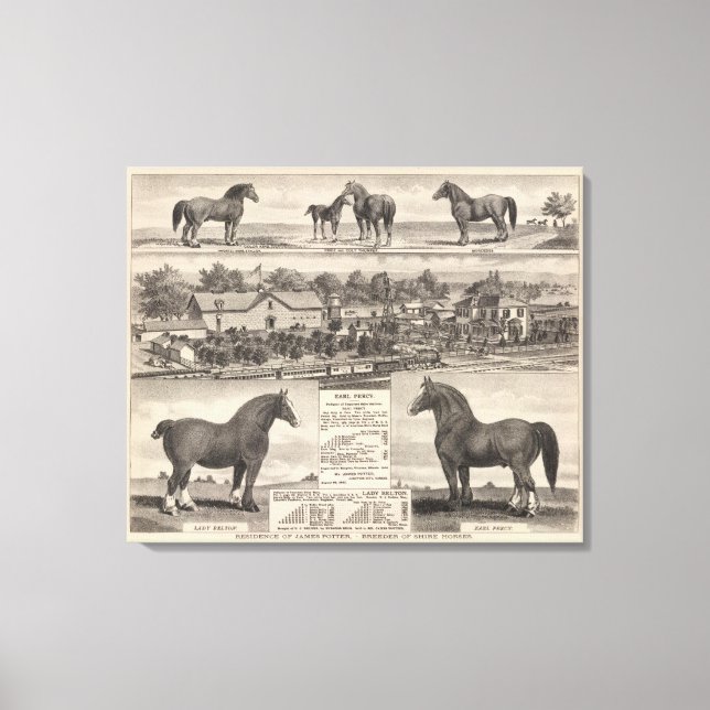 Residence of James Potter, Junction City, Kansas Canvas Print (Front)