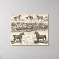 Residence of James Potter, Junction City, Kansas