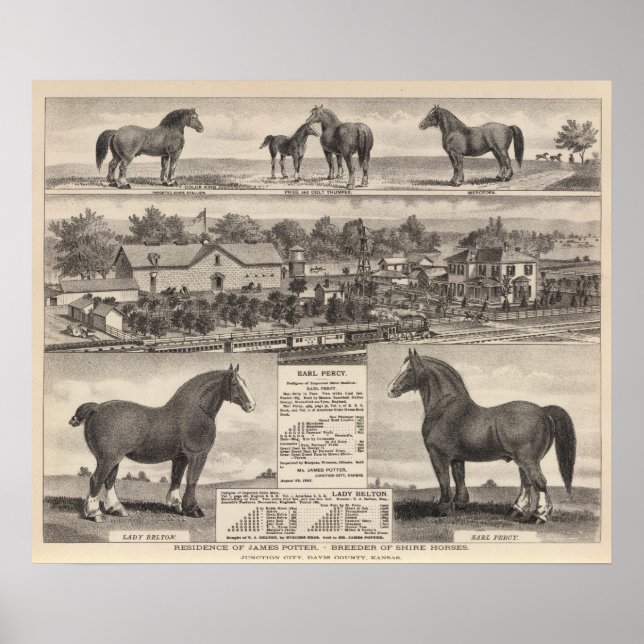 Residence of James Potter, Junction City, Kansas Poster (Front)
