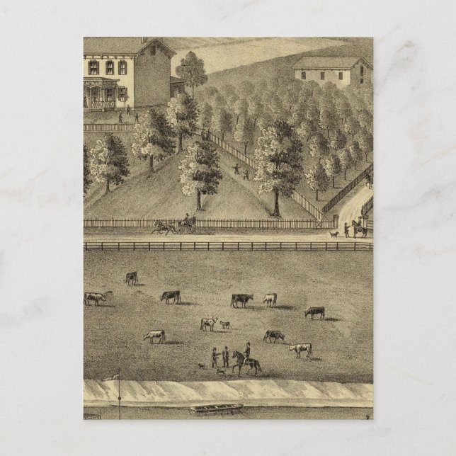 Residence of William Schrader Postcard (Front)