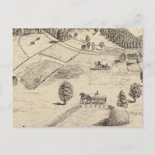 Residences and farm in New Haven Postcard (Front)