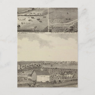 Residences and Farms of Eldridge, Minnesota Postcard