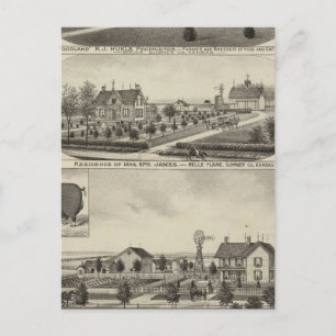 Residences and Farms, Sumner County, Kansas Postcard