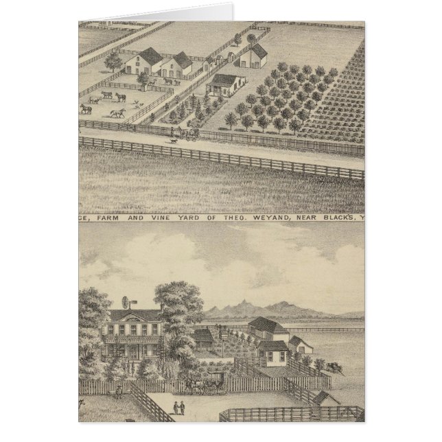 Residences, Black's Station (Front)