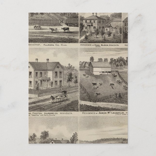 Residences in Amherst and Fillmore, Minnesota Postcard (Front)