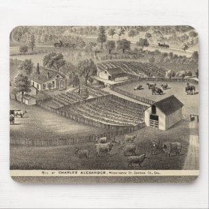 Residences of Charles Alexander Mouse Pad