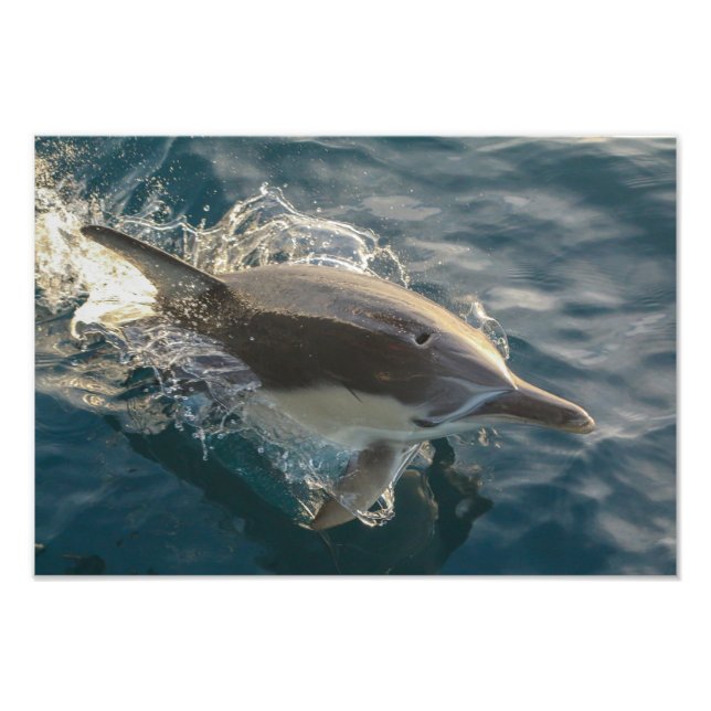 Resident Rider Photo Print (Front)