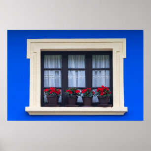 Residential housing with flowers in windows poster