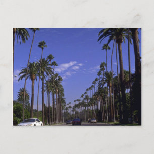 Residential Rodeo Drive, Beverly Hills, California Postcard