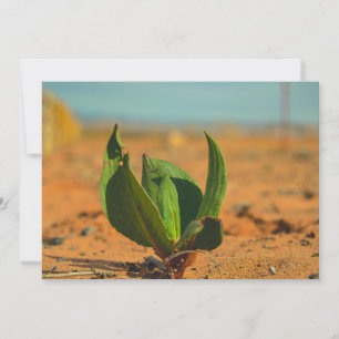 resilience holiday card