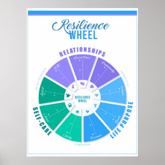Resilience Wheel Assessment Poster